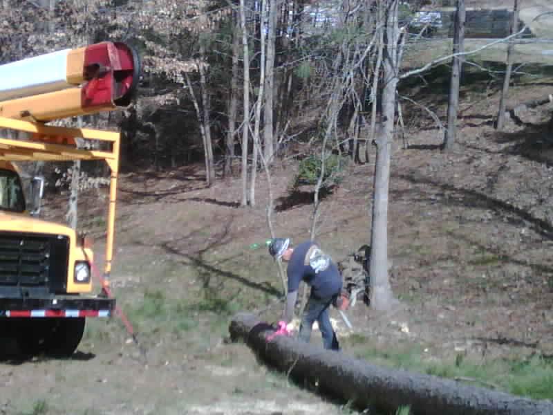 Tucker Tree Service Canton GA 30114 7703347161 Tree Service